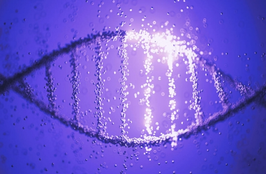 Whole Exome Sequencing 1
